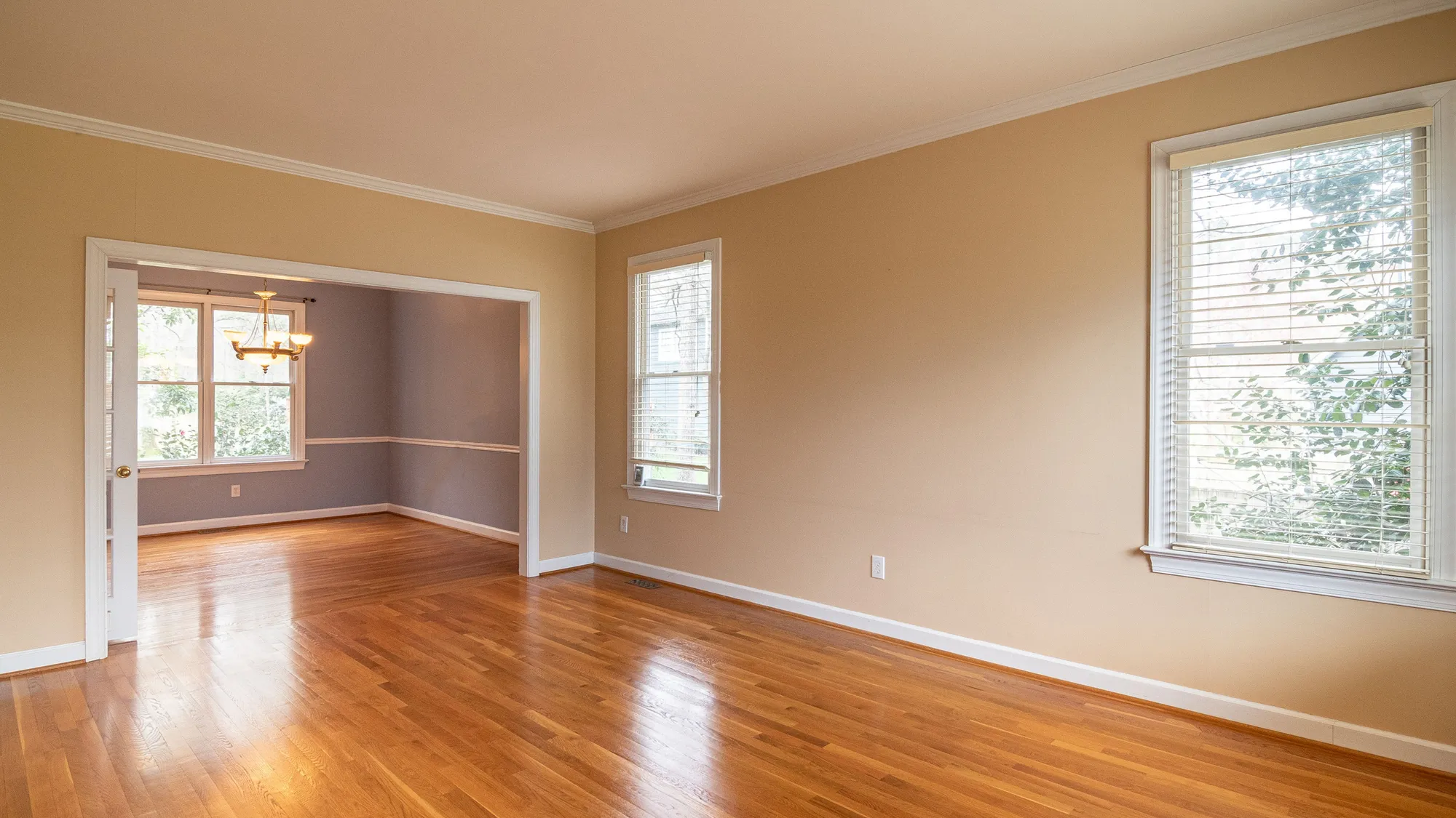 Move-In Cleaning